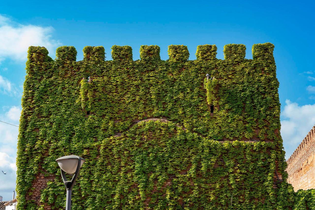Castillo De Pilas Bonas Manzanares Exterior photo